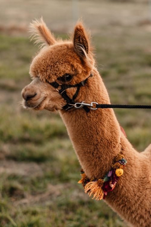 DSC01106bbbbbbbbbbbb