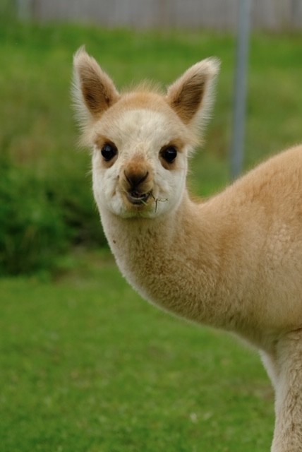 QzAzNzU5NkEtRDQ1RC00RDY0LUI1MUUtNkI0RjVCRTBGRTY4jsessionid48934E75D9AC6C6E4F49696435E6CE50-n1